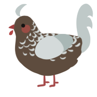 A bark and silver chicken with a half-lace pattern