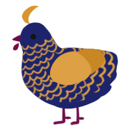 Navybale, a navy and orange chicken with a lace pattern