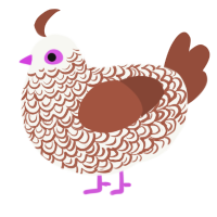 Patience, a white and russet chicken with a double-lace pattern