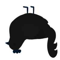The Void, a sable chicken with a half-lace pattern