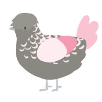 A ash and rose chicken with a half-lace pattern