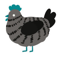 A grey and black chicken with a bar pattern