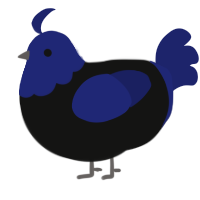 (unnamed), a black and navy chicken with a head pattern