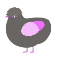 Bright Void, a grey and lavender chicken