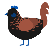 A sable and russet chicken with a half-lace pattern
