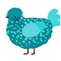A teal and aqua chicken with a speckle pattern