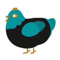 A sable and teal chicken with a head pattern