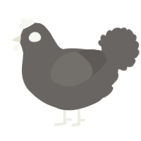 A grey chicken