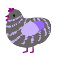 hypotenuse, a grey and lilac chicken with a bar pattern