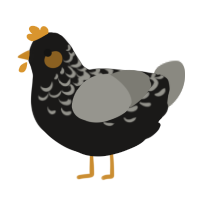 A sable and ash chicken with a half-lace pattern