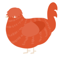 A vermilion chicken with a bar pattern