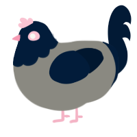 A ash and tumblr chicken with a head pattern