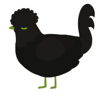 A black and sable chicken with a head pattern