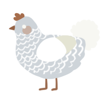 A mist and white chicken with a lace pattern