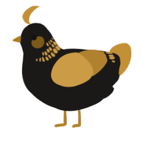 A sable and gold chicken with a neck-band pattern