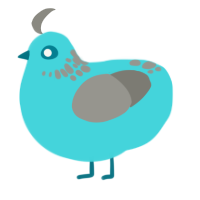 A aqua and ash chicken with a neck-speckle pattern