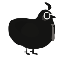 A black chicken
