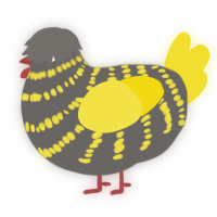 A grey and yellow chicken with a bar pattern