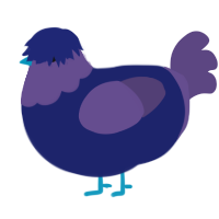 A navy and overcast chicken with a head pattern