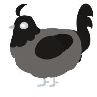 A grey and sable chicken with a head pattern