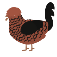 Pinecone, a russet and black chicken with a lace pattern