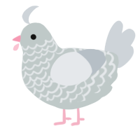 A silver and mist chicken with a lace pattern