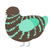 Mint Choco, a bark and mint chicken with a bar pattern