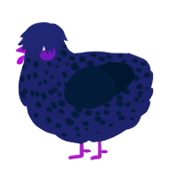 A navy and tumblr chicken with a speckle pattern