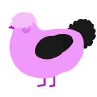 A lavender and sable chicken