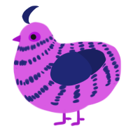 A orchid and navy chicken with a bar pattern