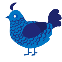 A sapphire and navy chicken with a lace pattern