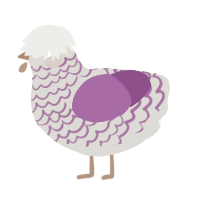 Prodigy, a ash and violet chicken with a lace pattern