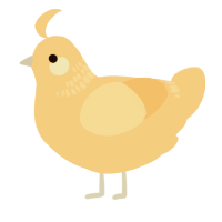 A honey chicken with a neck-band pattern