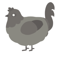 A ash and grey chicken with a head pattern