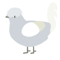 A mist and white chicken