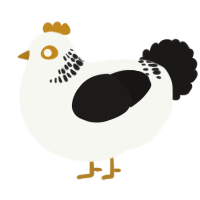 A white and sable chicken with a neck-band pattern
