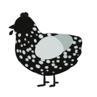 A black and silver chicken with a speckle pattern