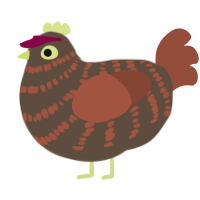 A bark and russet chicken with a bar pattern