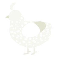 A white chicken with a speckle pattern