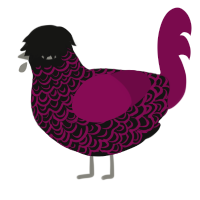 A black and wine chicken with a double-lace pattern