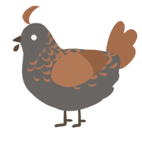 A grey and brown chicken with a half-lace pattern