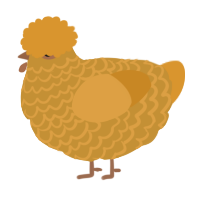 A gold and orange chicken with a lace pattern