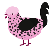WMWMWMWMWMWMWMWMWMWM, a pink and black chicken with a speckle pattern