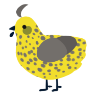 A yellow and grey chicken with a speckle pattern