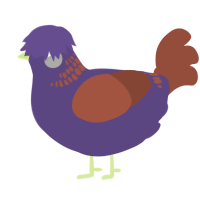A overcast and russet chicken with a neck-band pattern