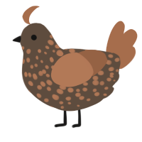 A bark and brown chicken with a speckle pattern