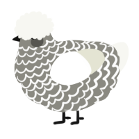 A ash and white chicken with a lace pattern