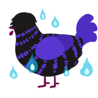 90s Topic, a sable and indigo chicken with a bar pattern