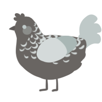 snowy summit, a grey and silver chicken with a half-lace pattern