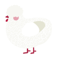 A white chicken with a double-lace pattern